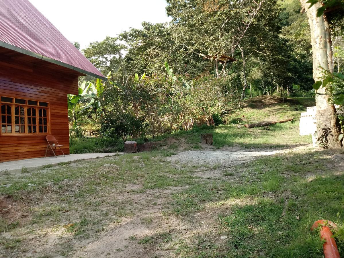 La Cabana De Noa Oxapampa Dış mekan fotoğraf