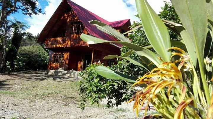 La Cabana De Noa Oxapampa Dış mekan fotoğraf